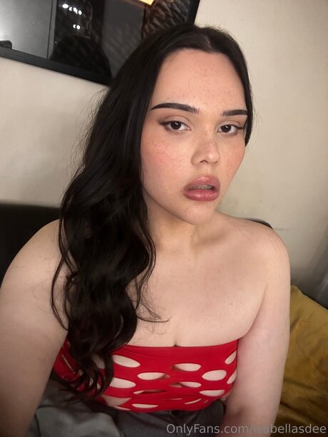 Isabelladee 素敵なスター 写真