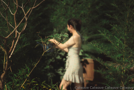 Catwave ポルノスター セクシー 写真