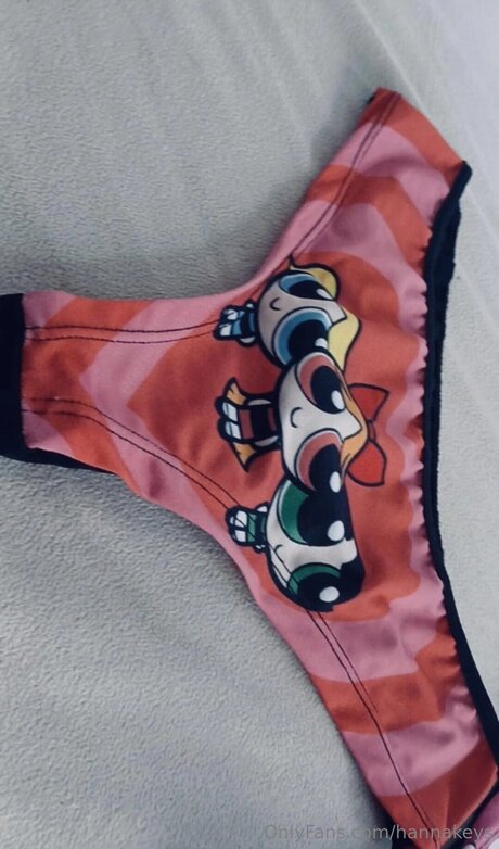 Hannakeys アートスター 写真