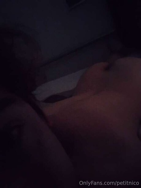 Petitnico セックススター 画像