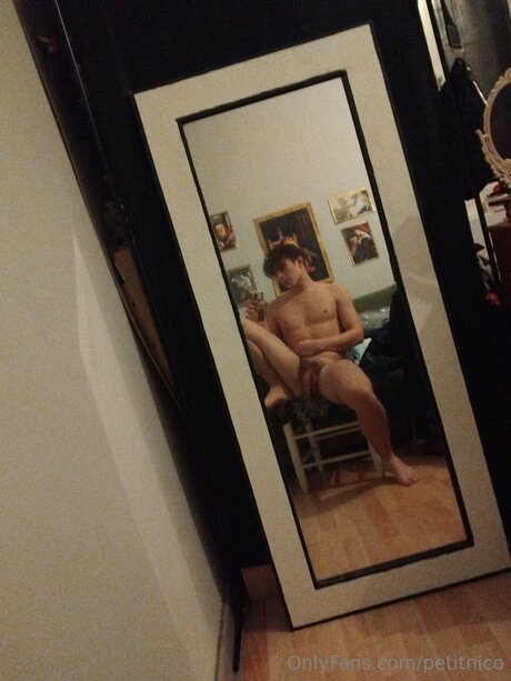 Petitnico 完璧なスター 写真