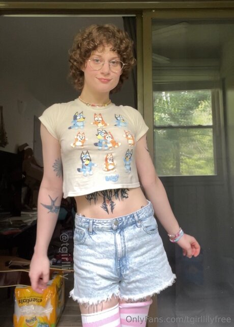 Tgirllilyfree スターセックス 写真