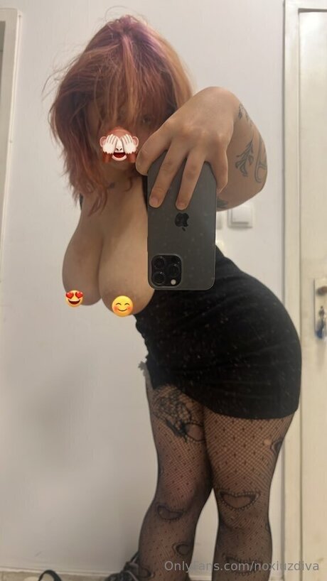 Noxiuzdiva HDモデル 画像