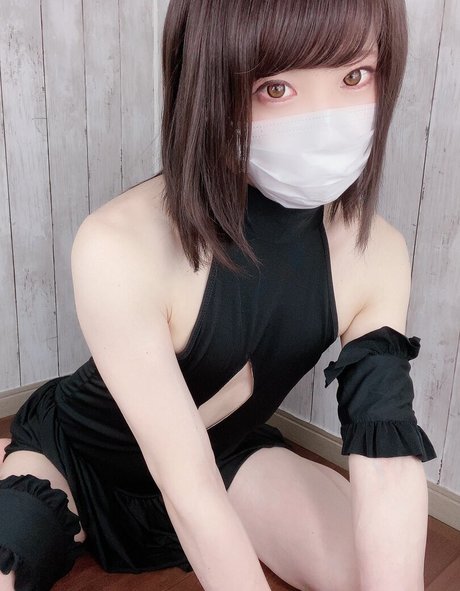 BBWオンリーファン ベスト アーカイブ