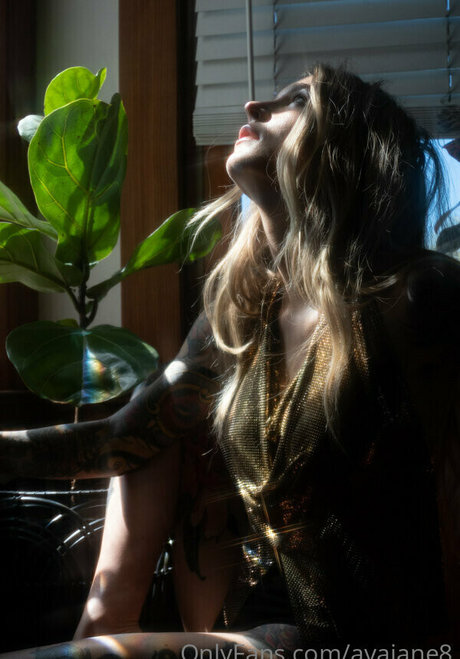 avajane8 美しいスター 写真