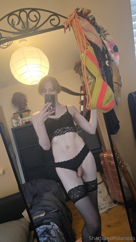 shatteredpolaroids ポルノスター ベスト 画像