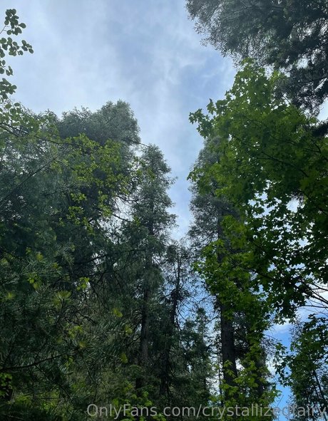 crystallizedfairy アートスター ギャラリー