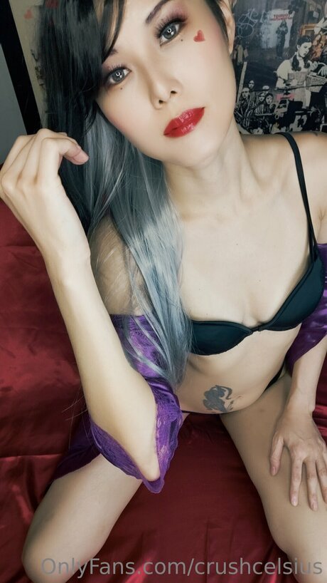 Crushcelsius 高品質女優 画像