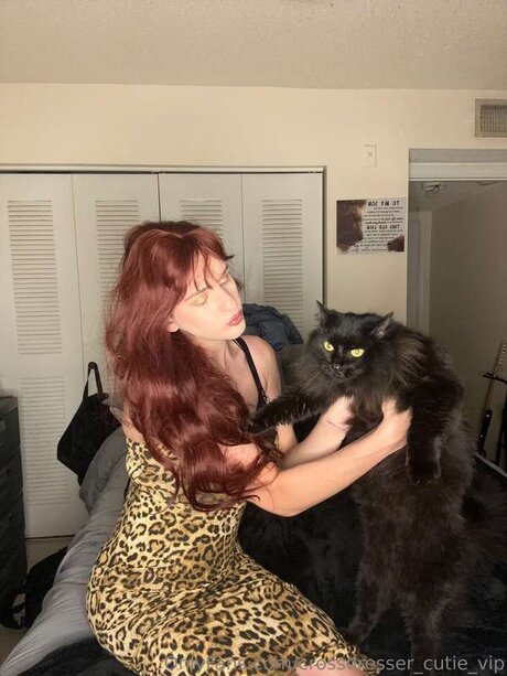 Crossdresser Cutie Vip ポルノスター 写真