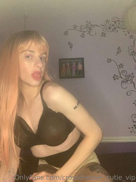Crossdresser Cutie Vip トップポルノスター 写真
