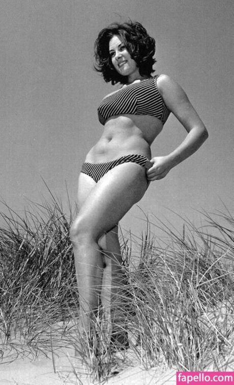 Vintage English Pinups 完璧なポルノスター 画像