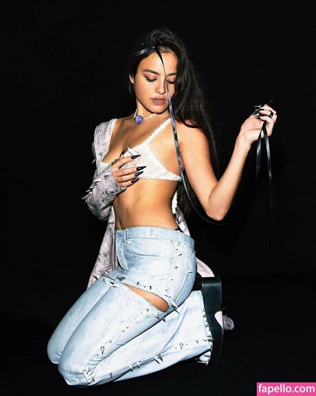 Chase Sui Wonders ポルノスター 裸 ギャラリー