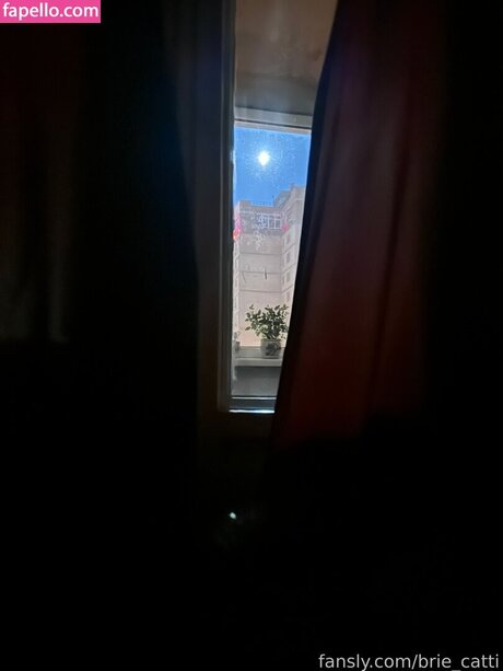 セックスガールズオンリーファンズ ホットセックス 写真