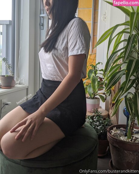 Busterandkitten 高品質スター 写真