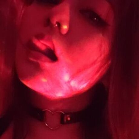 Eight Bit xxxスター 写真