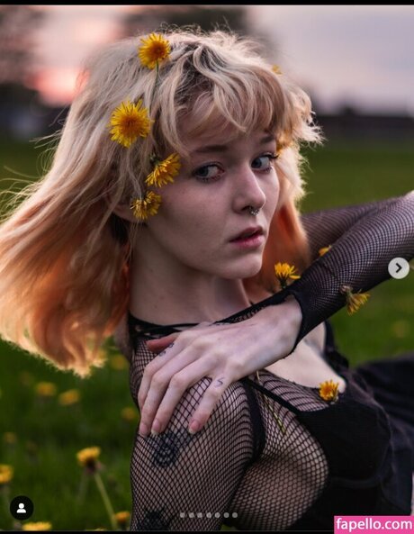 Imgiannasmith 最高のスター 写真