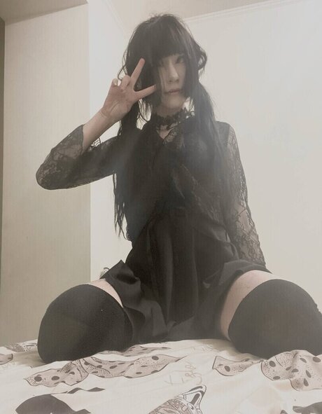 meowmeowcatlover スター 写真