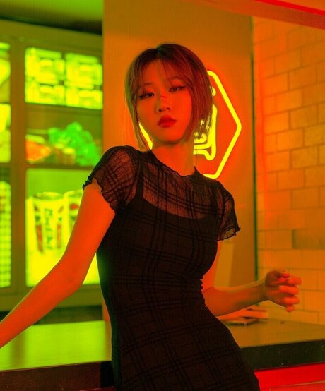 Lo3tus HDモデル 画像