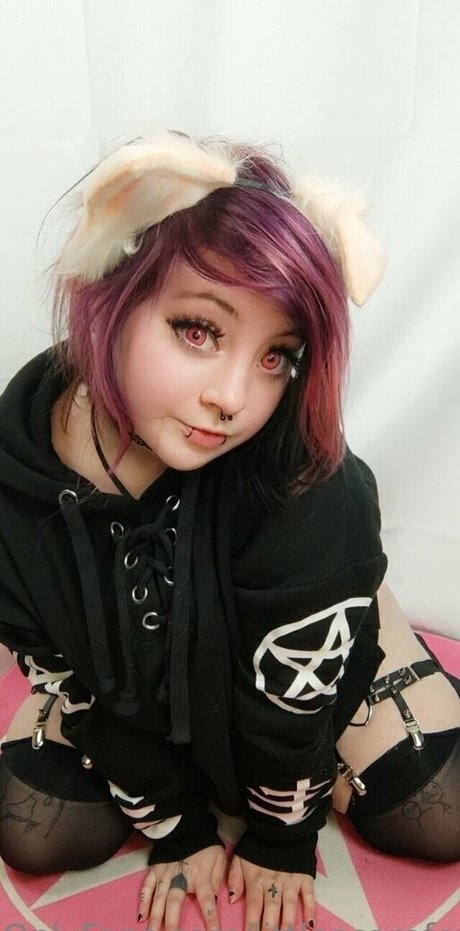 littlescarefoxfree ホットなスター ギャラリー