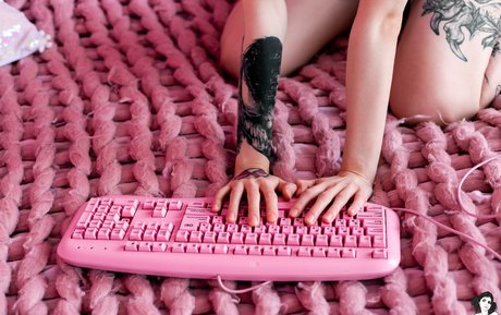 Vera Faith アートスター 写真