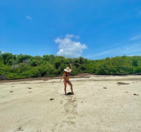 Sam Ortego HDモデル 画像