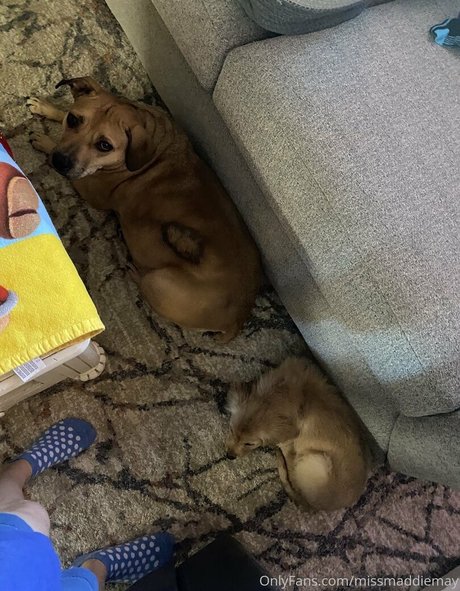 巨乳のマンコオンリーファンズ アートxxx 画像