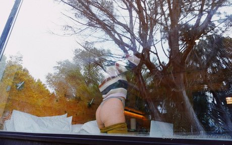 nicolequinn ホット女優 写真