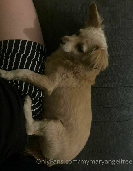 おっぱいオンリーファンズ ポルノ 画像