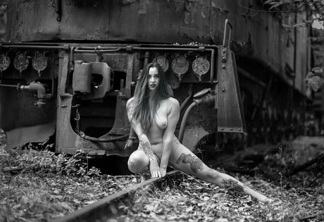 ripley1111 ポルノスター トップ 画像