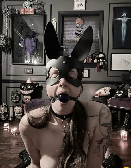 ripley1111 セクシーなポルノスター 写真