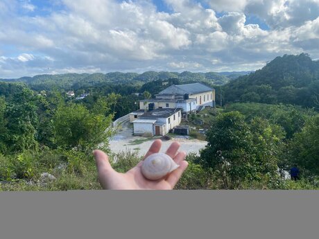 BBC 妊娠 オンリーファンズ ホットヌード ギャラリー