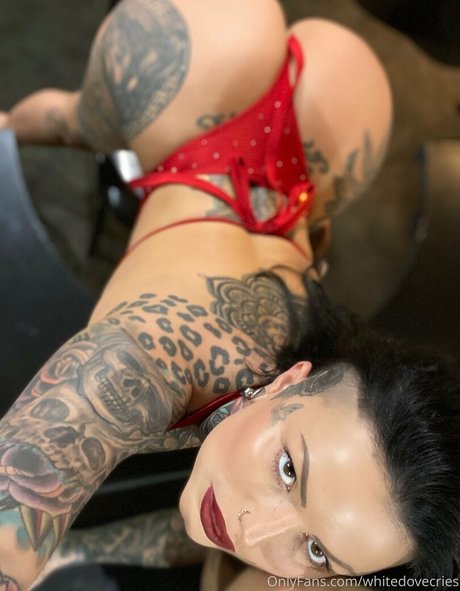 whitedovecries 美しいモデル 画像