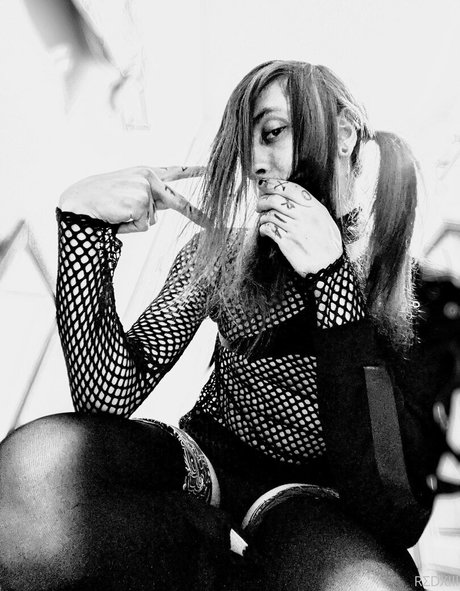 n somnium 最高のスター 画像