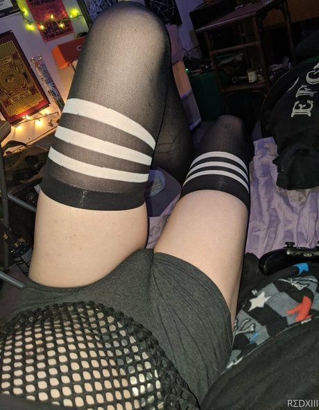 n somnium top profile image