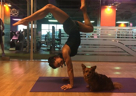 巨根アナルオンリーファンズ 限定 写真