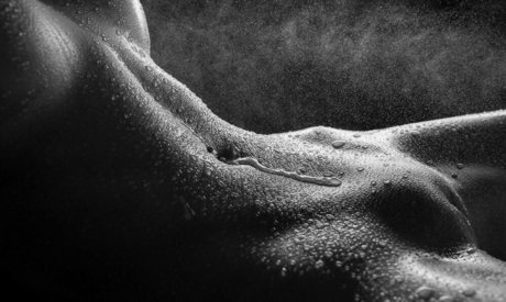 Ally J Wilkinson セクシーなポルノスター 写真