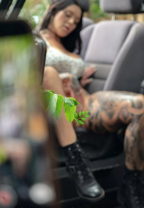 ohrangutangerotica 裸のスター 写真