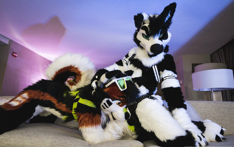 anejo xxx kaii ヌードのポルノスター 写真