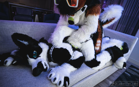 anejo xxx kaii スター ヌード 写真