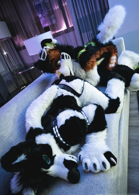 anejo xxx kaii ポルノスター 写真