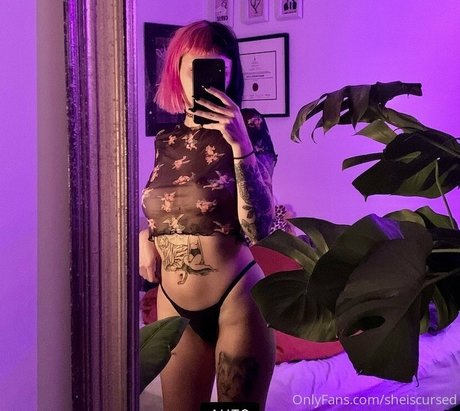 Sheiscursed エロティックなポルノスター 画像