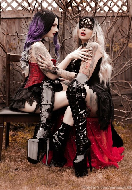 vanpsuicide 完璧なポルノスター 写真
