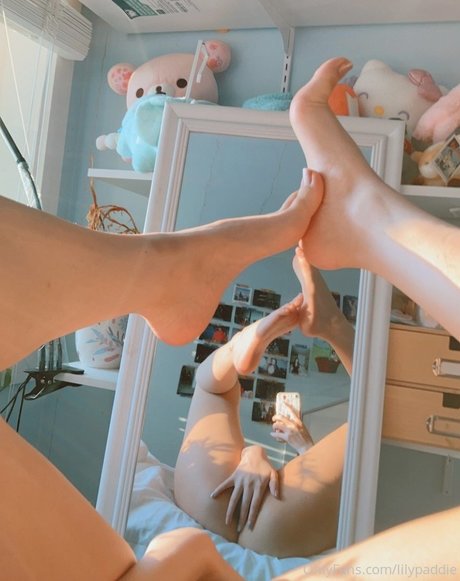 Lilypaddie 完璧なモデル 写真