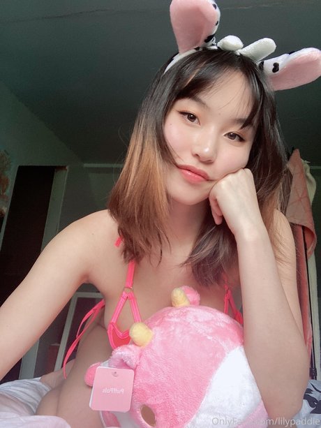 Lilypaddie ホットモデル 写真