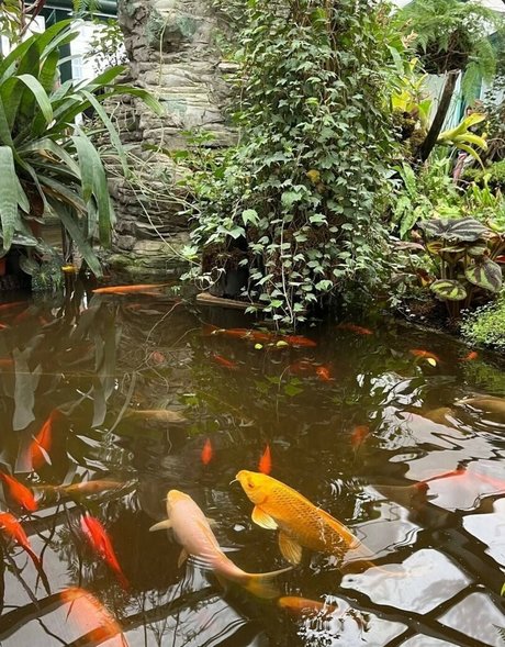 Ady Dark エロティック女優 写真