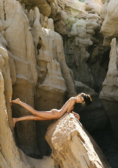 Paige Palmari top profile image