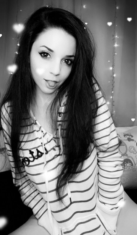 Kit katterson HDモデル 画像