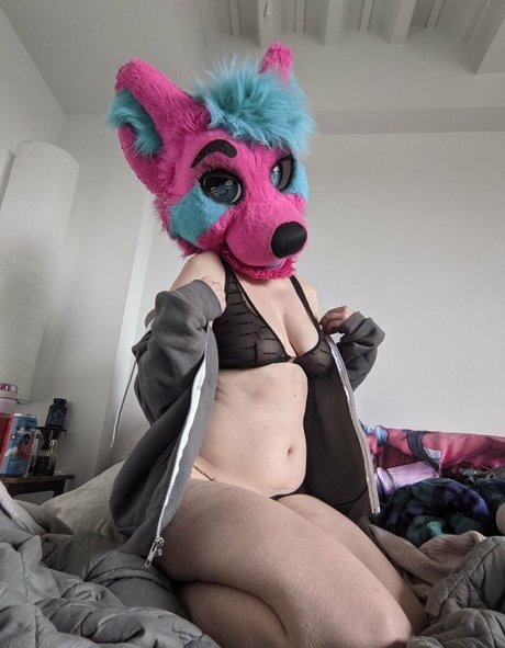 ragehound ポルノスター パーフェクト 写真