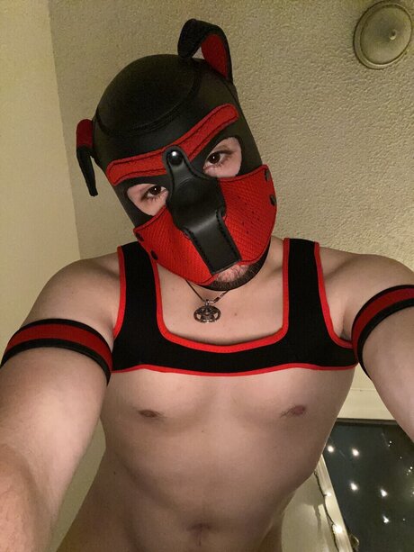 RyderJonesey かわいいスター 写真