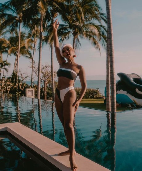 Janelle Jane Monae 美しいスター 写真